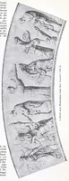 An illustration from Ausführliches Lexikon der griechischen und römischen Mythologie (1884)