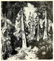 An illustration from Ausgewählte Graphik des deutschen Expressionismus, 1905-1920 : E. Heckel, E.L. Kirchner, K. Schmidt-Rottluff ... aus der graphischen Sammlung des Museums Folkwang Essen (1900)