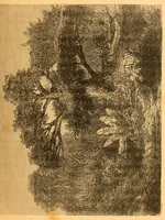 An illustration from Au Soudan : excursion dans l'Ouest africain (1898)