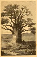 An illustration from Au Soudan : excursion dans l'Ouest africain (1898)
