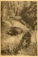 An illustration from Au Soudan : excursion dans l'Ouest africain (1898)