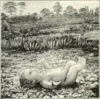 Picture 86 of 412 from Ausstellung deutscher Kunst aus der Zeit von 1775-1875 in der Königlichen Nationalgalerie, Berlin 1906. Herausgegeben vom Vorstand der Deutschen Jahrhundertausstellung. Mit einleitendem Text von Hugo von Tschudi (1906), leaf 122