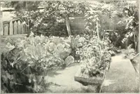 Picture 191 of 412 from Ausstellung deutscher Kunst aus der Zeit von 1775-1875 in der Königlichen Nationalgalerie, Berlin 1906. Herausgegeben vom Vorstand der Deutschen Jahrhundertausstellung. Mit einleitendem Text von Hugo von Tschudi (1906), leaf 196