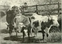 An illustration from Ausstellung deutscher Kunst aus der Zeit von 1775-1875 in der Königlichen Nationalgalerie, Berlin 1906. Herausgegeben vom Vorstand der Deutschen Jahrhundertausstellung. Mit einleitendem Text von Hugo von Tschudi (1906)