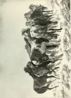 An illustration from Ausstellung deutscher Kunst aus der Zeit von 1775-1875 in der Königlichen Nationalgalerie, Berlin 1906. Herausgegeben vom Vorstand der Deutschen Jahrhundertausstellung. Mit einleitendem Text von Hugo von Tschudi (1906)