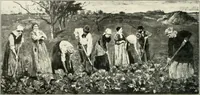 Picture 382 of 412 from Ausstellung deutscher Kunst aus der Zeit von 1775-1875 in der Königlichen Nationalgalerie, Berlin 1906. Herausgegeben vom Vorstand der Deutschen Jahrhundertausstellung. Mit einleitendem Text von Hugo von Tschudi (1906), leaf 341