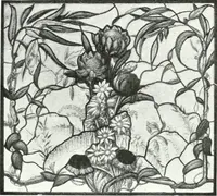 An illustration from The Australian flora in applied art (1915)