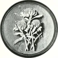 Picture 61 of 66 from The Australian flora in applied art (1915), leaf 106