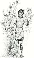Picture 1 of 66 from The Australian flora in applied art (1915), leaf 4