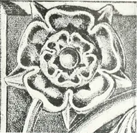 Picture 20 of 66 from The Australian flora in applied art (1915), leaf 48