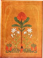 Picture 23 of 66 from The Australian flora in applied art (1915), leaf 50