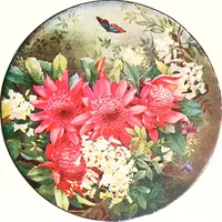 Picture 27 of 66 from The Australian flora in applied art (1915), leaf 54