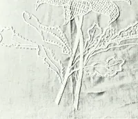 Picture 41 of 66 from The Australian flora in applied art (1915), leaf 73
