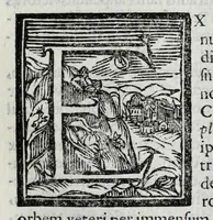 An illustration from Austriaci Caesares Mariae Annae, magni caes[ar]is Ferd[inan]di III filiae, maximi regum Phil[i]pi IV sponsae, potentiss[im]ae Hispanae mon[ar]chiae regin[a]e, in dotale auspicium infantis monarchae totiusq[ue] sereniss[im]ae posteritatis exhibiti (1649)