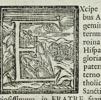 An illustration from Austriaci Caesares Mariae Annae, magni caes[ar]is Ferd[inan]di III filiae, maximi regum Phil[i]pi IV sponsae, potentiss[im]ae Hispanae mon[ar]chiae regin[a]e, in dotale auspicium infantis monarchae totiusq[ue] sereniss[im]ae posteritatis exhibiti (1649)