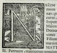 Picture 22 of 31 from Austriaci Caesares Mariae Annae, magni caes[ar]is Ferd[inan]di III filiae, maximi regum Phil[i]pi IV sponsae, potentiss[im]ae Hispanae mon[ar]chiae regin[a]e, in dotale auspicium infantis monarchae totiusq[ue] sereniss[im]ae posteritatis exhibiti (1649), leaf 145
