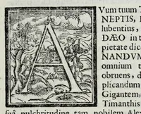 An illustration from Austriaci Caesares Mariae Annae, magni caes[ar]is Ferd[inan]di III filiae, maximi regum Phil[i]pi IV sponsae, potentiss[im]ae Hispanae mon[ar]chiae regin[a]e, in dotale auspicium infantis monarchae totiusq[ue] sereniss[im]ae posteritatis exhibiti (1649)