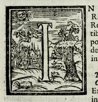 An illustration from Austriaci Caesares Mariae Annae, magni caes[ar]is Ferd[inan]di III filiae, maximi regum Phil[i]pi IV sponsae, potentiss[im]ae Hispanae mon[ar]chiae regin[a]e, in dotale auspicium infantis monarchae totiusq[ue] sereniss[im]ae posteritatis exhibiti (1649)