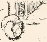 An illustration from Autobiographical notes of the life of William Bell Scott : and notices of his artistic and poetic circle of friends, 1830 to 1882 (1892)