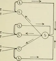 An illustration from Automatic telephony; a comprehensive treatise on automatic and semi-automatic systems (1921)
