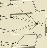 An illustration from Automatic telephony; a comprehensive treatise on automatic and semi-automatic systems (1921)