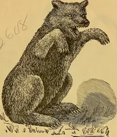 An illustration from The Automatic toy works (1882)