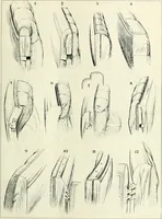 An illustration from Automotive industries (1899)
