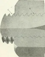 An illustration from Automotive industries (1899)