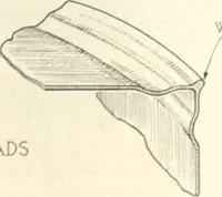 Picture 13 of 554 from Automotive industries (1899), leaf 36