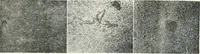 Picture 133 of 554 from Automotive industries (1899), leaf 387