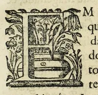An illustration from Autos do leuantamento, e iuramento : que por os grandes, titulos seculares, e ecclesiasticos, & pessoas que se acharão presentes, se fez a el rey dom Ioam o IV. nossa senhor, na coroa & senhorio destes reynos, & do que elle fez ás mesmas pessoas na cidade de Lisboa, em os quinze dias do mes de dezembro do anno de 1640 .. (1641)