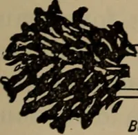 An illustration from Aviation engines; design--construction--operation and repair; (1919)