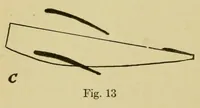 An illustration from Aviation, theorico-pracitcal text-book for students (1919)