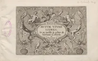 Picture 1 of 24 from Avium vivae icones (1580), leaf 3