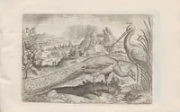 An illustration from Avium vivae icones (1580)