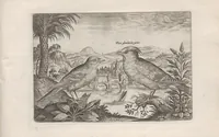 An illustration from Avium vivae icones (1580)