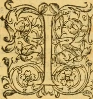 An illustration from Avreliae vrbis memorabilis ab Anglis obsidio, anno 1428, : et Ioannae Viraginis Lotharingiae res gestae. (1560)