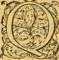 An illustration from Avreliae vrbis memorabilis ab Anglis obsidio, anno 1428, : et Ioannae Viraginis Lotharingiae res gestae. (1560)