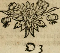 An illustration from Avrevm vellvs, oder, Guldin Schatz und Kunst-Kammer : darinnen der aller fürnemisten, fürtreffenlichsten, ausserlesenesten, herrlichisten und bewehrtesten Auctorum Schrifften und Bücher, aufs dem gar uralten Schatz der uberblibnen, verborgnen, hinderhaltenen Reliquien und Monumenten der Aegyptiorum, Arabum, Chaldaeorum & Assyriorum Königen und Weysen (1708)