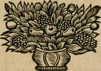 An illustration from Avrevm vellvs, oder, Guldin Schatz und Kunst-Kammer : darinnen der aller fürnemisten, fürtreffenlichsten, ausserlesenesten, herrlichisten und bewehrtesten Auctorum Schrifften und Bücher, aufs dem gar uralten Schatz der uberblibnen, verborgnen, hinderhaltenen Reliquien und Monumenten der Aegyptiorum, Arabum, Chaldaeorum & Assyriorum Königen und Weysen (1708)