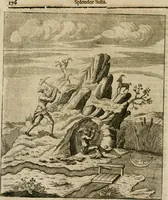 Picture 32 of 73 from Avrevm vellvs, oder, Guldin Schatz und Kunst-Kammer : darinnen der aller fürnemisten, fürtreffenlichsten, ausserlesenesten, herrlichisten und bewehrtesten Auctorum Schrifften und Bücher, aufs dem gar uralten Schatz der uberblibnen, verborgnen, hinderhaltenen Reliquien und Monumenten der Aegyptiorum, Arabum, Chaldaeorum & Assyriorum Königen und Weysen (1708), leaf 195