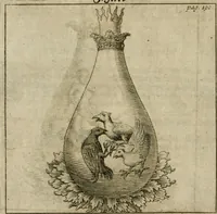 An illustration from Avrevm vellvs, oder, Guldin Schatz und Kunst-Kammer : darinnen der aller fürnemisten, fürtreffenlichsten, ausserlesenesten, herrlichisten und bewehrtesten Auctorum Schrifften und Bücher, aufs dem gar uralten Schatz der uberblibnen, verborgnen, hinderhaltenen Reliquien und Monumenten der Aegyptiorum, Arabum, Chaldaeorum & Assyriorum Königen und Weysen (1708)