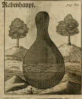 Picture 65 of 73 from Avrevm vellvs, oder, Guldin Schatz und Kunst-Kammer : darinnen der aller fürnemisten, fürtreffenlichsten, ausserlesenesten, herrlichisten und bewehrtesten Auctorum Schrifften und Bücher, aufs dem gar uralten Schatz der uberblibnen, verborgnen, hinderhaltenen Reliquien und Monumenten der Aegyptiorum, Arabum, Chaldaeorum & Assyriorum Königen und Weysen (1708), leaf 820