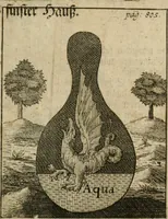 Picture 68 of 73 from Avrevm vellvs, oder, Guldin Schatz und Kunst-Kammer : darinnen der aller fürnemisten, fürtreffenlichsten, ausserlesenesten, herrlichisten und bewehrtesten Auctorum Schrifften und Bücher, aufs dem gar uralten Schatz der uberblibnen, verborgnen, hinderhaltenen Reliquien und Monumenten der Aegyptiorum, Arabum, Chaldaeorum & Assyriorum Königen und Weysen (1708), leaf 824