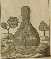 An illustration from Avrevm vellvs, oder, Guldin Schatz und Kunst-Kammer : darinnen der aller fürnemisten, fürtreffenlichsten, ausserlesenesten, herrlichisten und bewehrtesten Auctorum Schrifften und Bücher, aufs dem gar uralten Schatz der uberblibnen, verborgnen, hinderhaltenen Reliquien und Monumenten der Aegyptiorum, Arabum, Chaldaeorum & Assyriorum Königen und Weysen (1708)