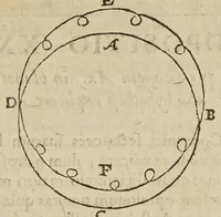 An illustration from Avstriaca sidera heliocyclia astronomicis hypothesibvs jlligata (1633)