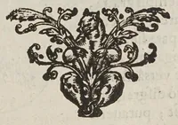 An illustration from Avstriaca sidera heliocyclia astronomicis hypothesibvs jlligata (1633)