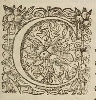 An illustration from Avstriaca sidera heliocyclia astronomicis hypothesibvs jlligata (1633)