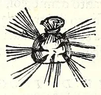 Picture 7 of 8 from Avvertimenti, et essamini intorno a qvelle cose, che richiedono a vn perfetto bombardiero : cosi circa all'artiglieria, come anco à fuochi arteficiati (1580), leaf 70