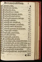 An illustration from Arte de la lengua Mexicana y Castellana (1571)